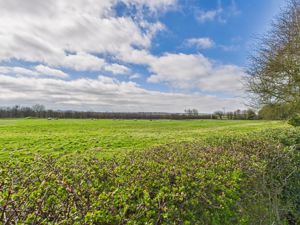 Southerly View- click for photo gallery